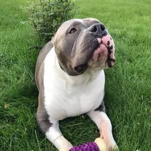 Meet your Posher, Janet